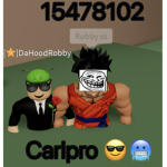 Carlpro on top group