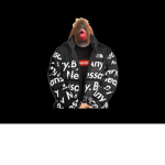 Drip sheesh I join I get drip SHEESH GREAT DEAL