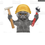 The builder cat