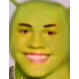 Shrek Race.