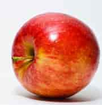 Appleology