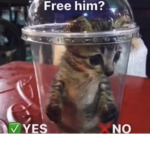 527