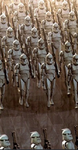 The Republic Empire Clone Troopers