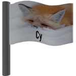 Cy Fox Flag