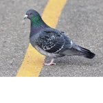Is this name taken??