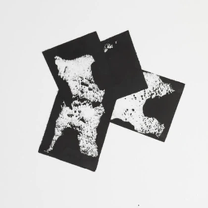 ' phantasia Roblox group icon