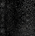 -Black Iron Dance Academy-