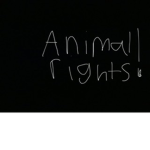 Animal rights group be nice to animals!