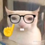 LvstSan1ty's Basement