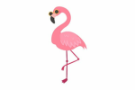 The Fancy Flamingos