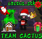La team Cactus_Stk