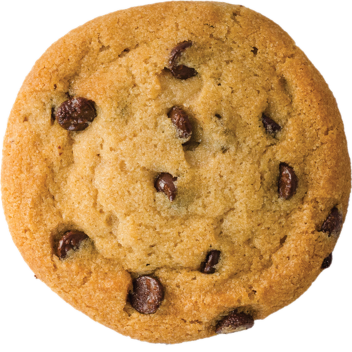 pool party and slide