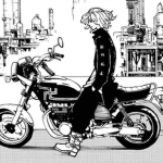 TOMAN | DW Official