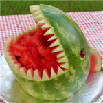 The Melon Shark Gang