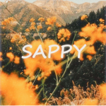 Sappy Aesthetics