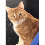 Hunterthe1