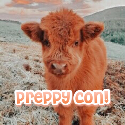 preppy con