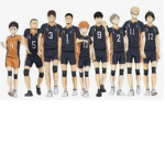 Haikyu Group Thumbnail