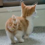 Cūp1ds