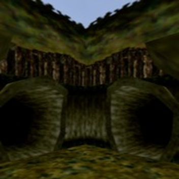 Lost Woods