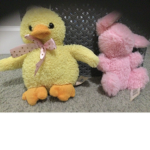 Chicky’s Land of fun
