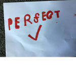 Perfect Nation