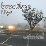 brooklyn bbys