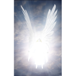 Salted Angel