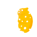 Cheese Chomik
