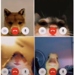 StrawberryCowPlayz Group