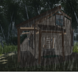 The woods