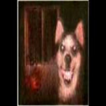 Scary dog Roblox decal