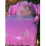 Mickeyrat c: