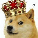 DogeClanTheBest
