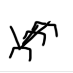 AV Groups