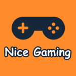 Nice Gaming Team