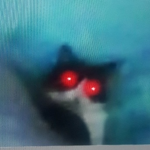 Squlnch