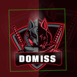 domissplay group