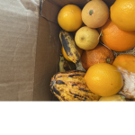 Screenie squad