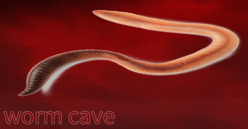 worm cave