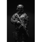 The VIP server Links