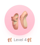 BSDA LEVEL 4