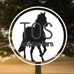 TOS Adoption Barn