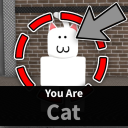 🩶 CAT