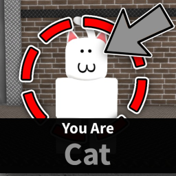 🩶 CAT