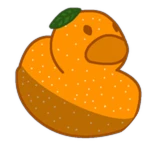 Tangerine Duck