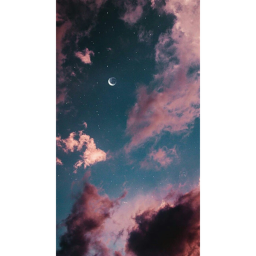 aesthetics
