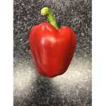 Chilli Gang!!!