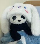 Pandasleep