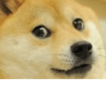 DOGE ARMY FOREVER ‘